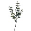 Eucalyptus Tak Kunstbloem | Kleur: Groen | Lengte ± 70 centimeter | Per tak