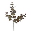 Arti Flora Eucalyptus Tak Kunstbloem | Kleur: Bordeauxrood | Lengte ± 70 centimeter | Per tak