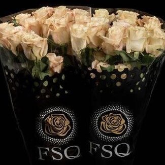 Freshy Large-flowered Rose “Cotton X-pression” | Colour: Light pink yellow | Length ± 60 centimetre | Origin Ecuador | Per 20 stems