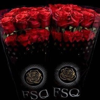 Freshy Großblütige Rose “Mamma Mia” | Farbe: Weiß Rot | Länge ± 60 centimeter | Herkunft Ecuador | Pro 20 Stiele