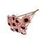 Pink Shola Daisy Sunflower | Stem length ± 55 centimetres | Per 10 additional sticks