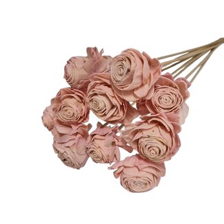 Dutch Dried Rosa Shola Beauty Rose | Stiellänge ± 50 Zentimeter | Pro 10 Einstecker