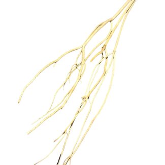 Dutch Dried Natural Mutsumata Yanagi branches | Length ± 115 cm | Per 3 branches