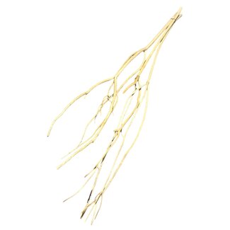 Dutch Dried Naturelle Mutsumata Yanagi takken | Lengte ± 115 cm | Per 3 takken