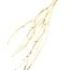 Natural Mutsumata Yanagi branches | Length ± 115 cm | Per 3 branches