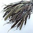Natural Red Jewel Set of Dried Flowers | Length ± 65 centimetres | Weight ± 150 grams