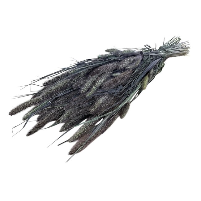 Naturel Red Jewel Setarea droogbloemen | Lengte ± 65 centimeter | Gewicht ± 150 gram