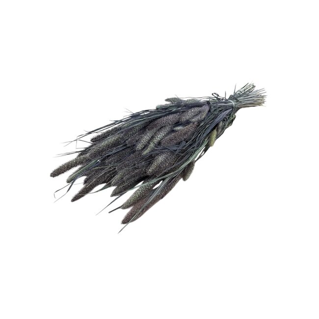 Natural Red Jewel Set of Dried Flowers | Length ± 65 centimetres | Weight ± 150 grams