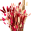 Lagurus Lady mix dried flowers | Length ± 65 centimetres | Weight ± 100 grams