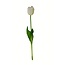 Tulip Artificial Flower | Colour: Natural White | Tulipa artificial flowers | Length ± 45 centimetre | Per piece