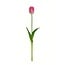 Tulpe Kunstblume | Farbe: Rosa | Tulipa Kunstblumen | Länge ± 45 centimeter | Pro Stück