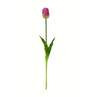Arti Flora Tulp Kunstbloem | Kleur: Paars | Tulipa kunstbloemen | Lengte ± 45 centimeter | Per kunstbloem