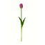 Tulp Kunstbloem | Kleur: Paars | Tulipa kunstbloemen | Lengte ± 45 centimeter | Per stuk