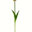 Tulp Kunstbloem | Kleur: Paars | Tulipa kunstbloemen | Lengte ± 45 centimeter | Per stuk