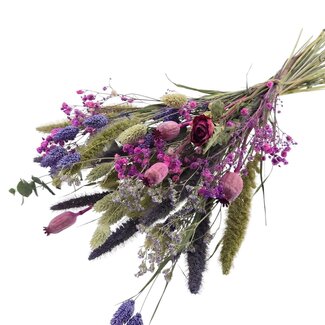 MyFlowers Boeket Droogbloemen “Cute purple” | Kleur: Gemengde Kleuren Paars | Lengte ± 50 centimeter | Per boeket