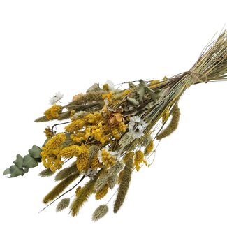 MyFlowers Dried flower bouquet “Cute yellow” | Colour: Mixed Colours Yellow | Length ± 50 centimetre | Per bouquet