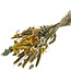 Boeket Droogbloemen “Cute yellow” | Kleur: Gemengde Kleuren Geel | Lengte ± 50 centimeter | Per boeket