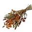 Boeket Droogbloemen “Cute orange” | Kleur: Gemengde Kleuren Oranje | Lengte ± 50 centimeter | Per boeket
