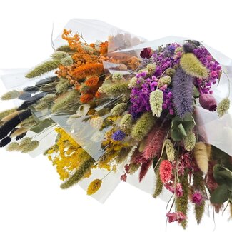 Boeketten Droogbloemen Set “Cute mix” | Kleur: Gemengde Kleuren | Lengte ± 50 centimeter | Per 5 bossen