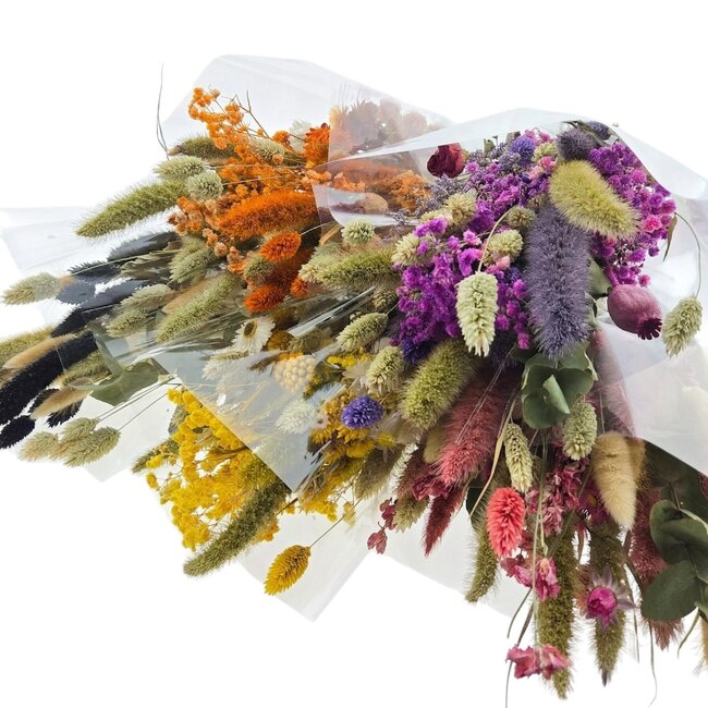 Boeketten Droogbloemen Set “Cute mix” | Kleur: Gemengde Kleuren | Lengte ± 50 centimeter | Per 5 bossen