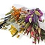 Sträuße Trockenblumen Set “Niedlicher Mix” | Farbe: Gemischte Farben | Länge ± 50 centimeter | Pro 5 Sträuße