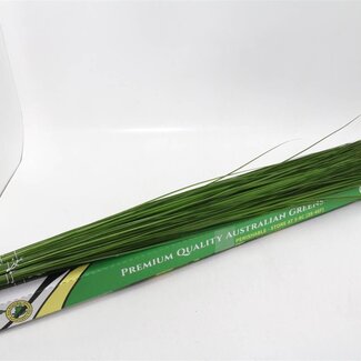 Freshy Steelgrass | Kleur: Groen | Lengte ± 120 centimeter | Per 10 bossen