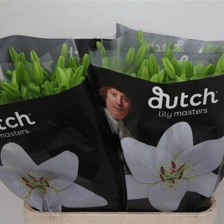 Freshy Lelie Longi x Aziatic Aqua Eyeliner