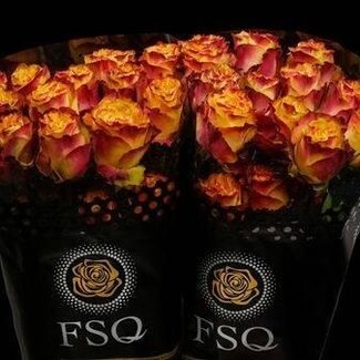 Freshy R Eq Newsflash