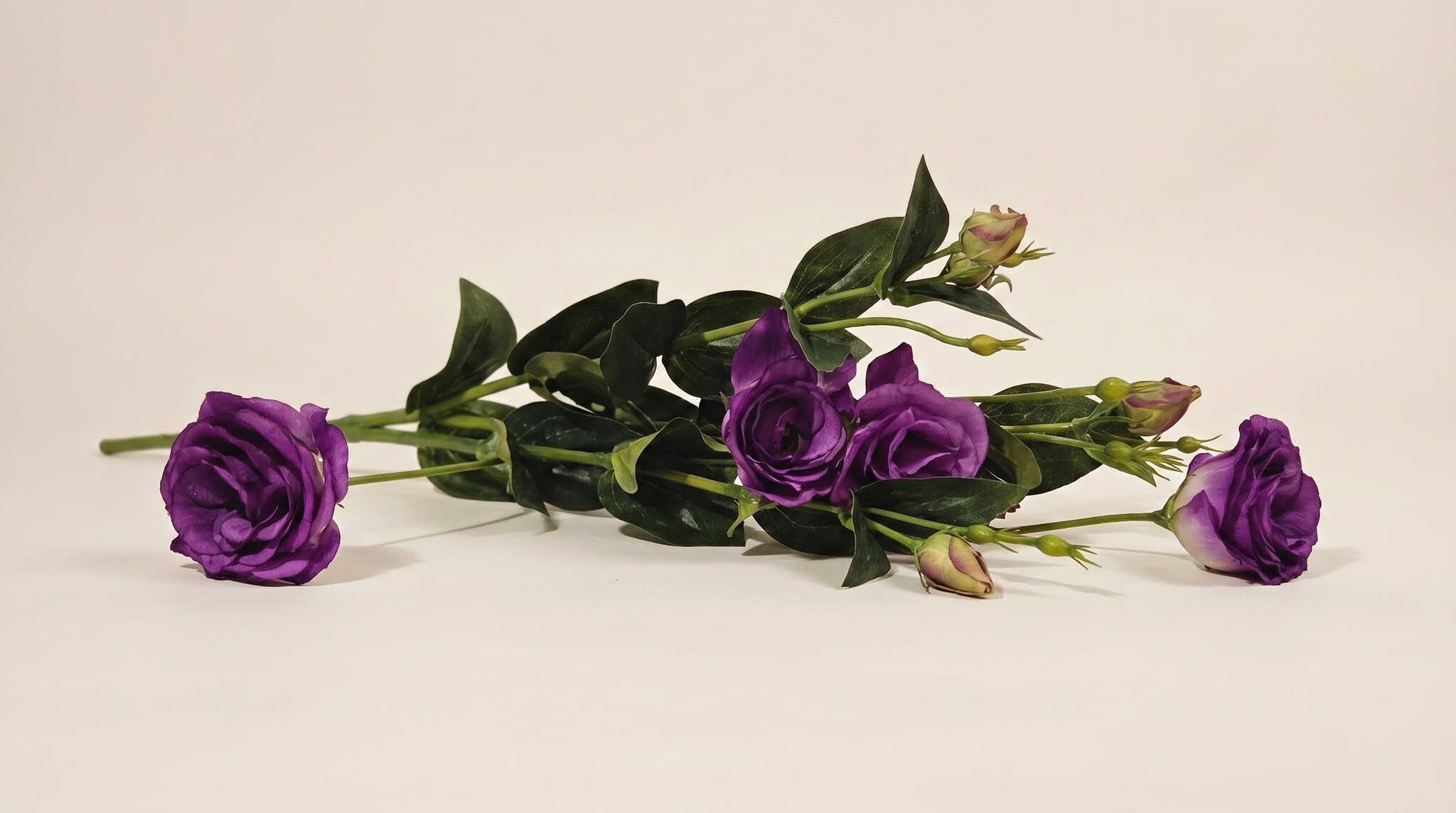 Eustoma (Lisianthus): Elegante Zachtheid | MyFlowers.shop