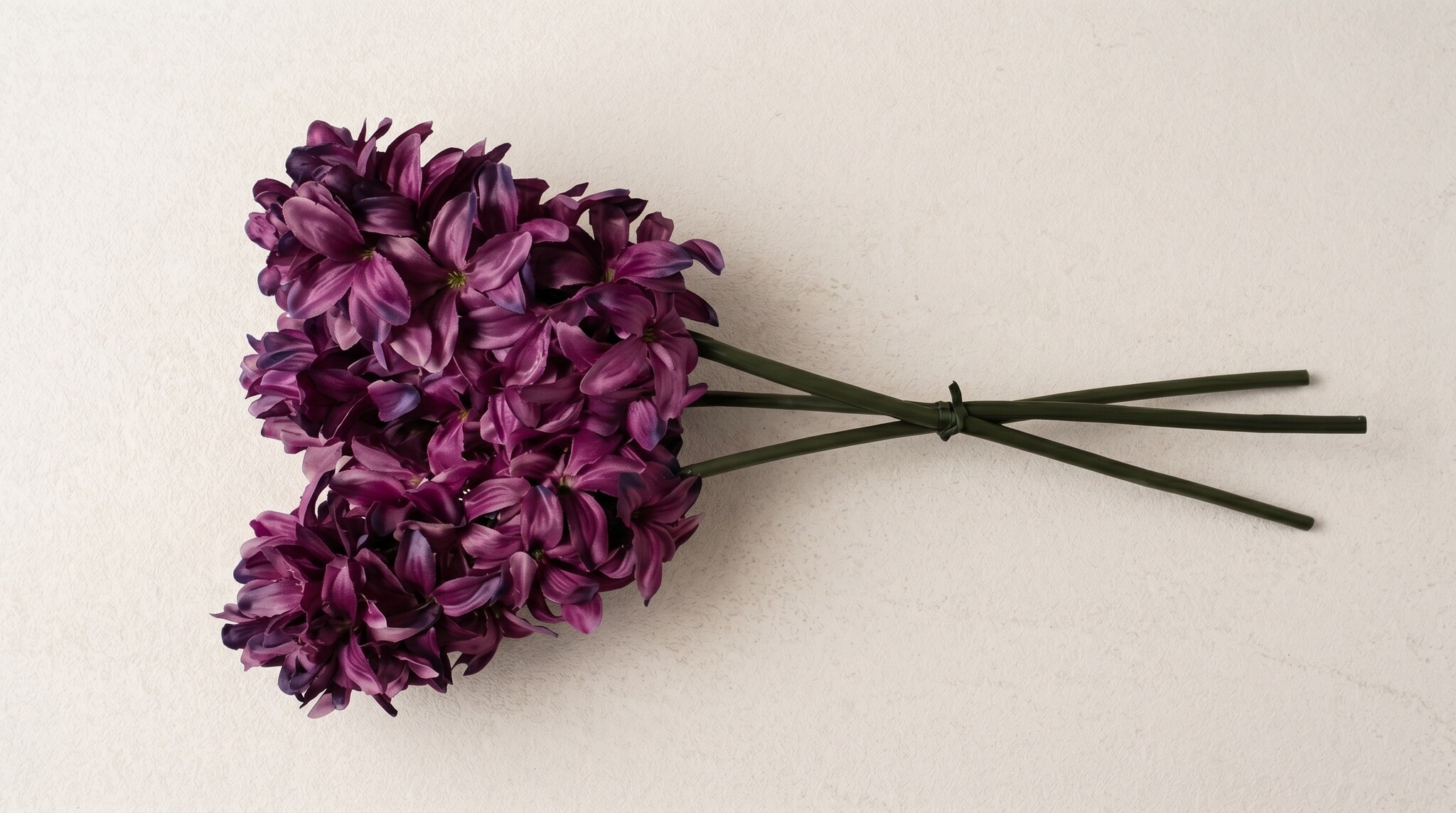 Hyacinthus (Hyacint): Vrolijk voorjaarsgevoel | MyFlowers.shop