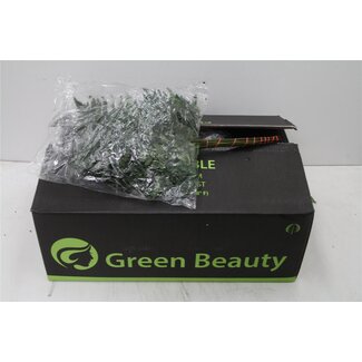Freshy Leather fern Rumohra Medium | Colour: Green | Length ± 45 centimeter | 30 branches per bunch | Per 5 bunches
