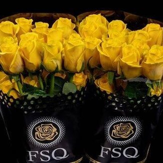 Freshy Rose grandiflore “Goldfinch” | Couleur: Jaune | Longueur ± 50 centimeter | Origine Équateur | Par 20 fleurs fraîches