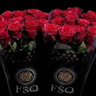 Freshy Large-flowered Rose “Red Panther” | Colour: Red | Length ± 60 centimetre | Origin Ecuador | Per 20 fresh flowers