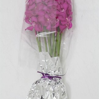 Freshy Mokara Orchidee “Calipso” | Kleur: Roze Paars | Lengte ± 60 centimeter | Per 10 stelen verse bloemen