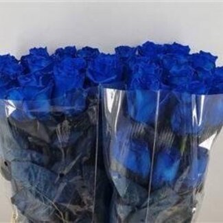Freshy Large-flowered Rose “Mondial Blue” Colour-treated | Colour: Blue | Length ± 60 centimetre | Origin Ecuador | Per 25 fresh flowers