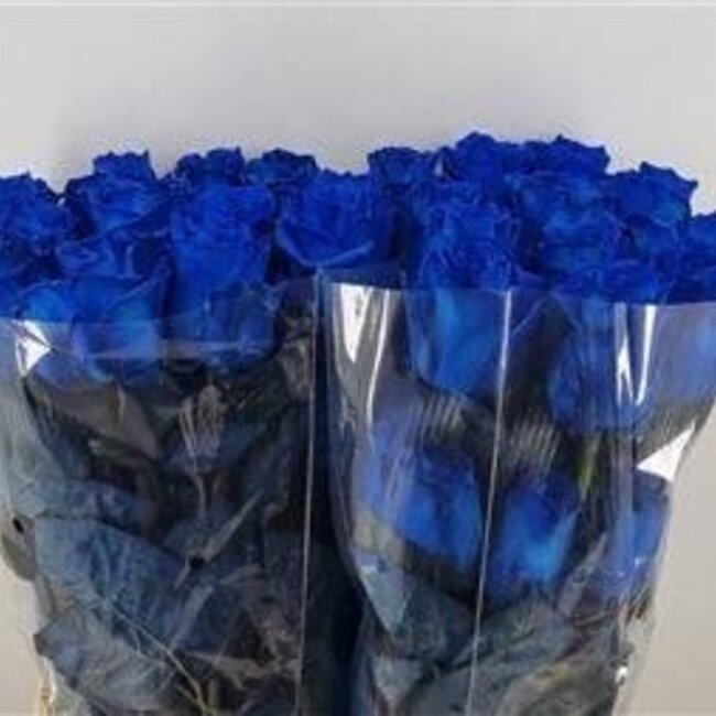 Rose à grandes fleurs “Mondial Blue” Colorée | Couleur: Bleu | Longueur ± 60 centimeter | Origine Ecuador | Par 25 fleurs fraîches
