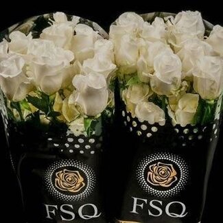 Freshy Grootbloemige Roos “Akito” | Kleur: Wit | Lengte ± 50 centimeter | Herkomst Ecuador | Per 20 verse bloemen