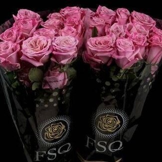 Freshy Grootbloemige Roos “Babaloo” | Kleur: Roze | Lengte ± 60 centimeter | Herkomst Ecuador | Per 20 verse bloemen