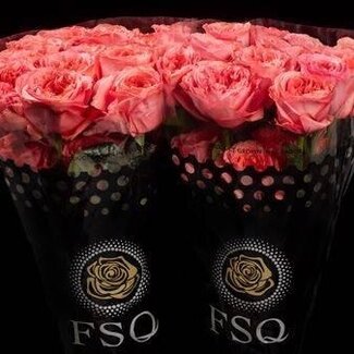 Freshy Grootbloemige Roos “Candy X-pression” | Kleur: Roze | Lengte ± 50 centimeter | Herkomst Ecuador | Per 20 verse bloemen
