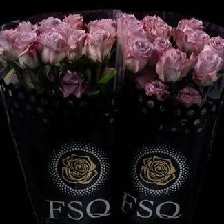 Freshy Großblütige Rose “Cooldown” | Farbe: Rosa | Länge ± 60 centimeter | Herkunft Ecuador | Pro 20 frische Blumen