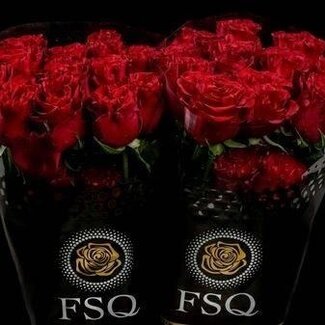 Freshy Large-flowered Rose “Hearts” | Colour: Red | Length ± 50 centimetre | Origin Ecuador | Per 20 fresh flowers