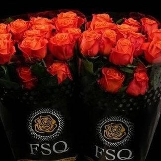 Freshy Grootbloemige Roos “Orange Crush” | Kleur: Oranje | Lengte ± 50 centimeter | Herkomst Ecuador | Per 20 verse bloemen