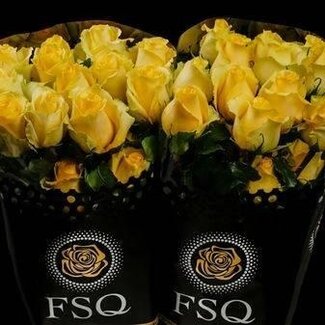 Freshy Rose à grandes fleurs “Tara” | Couleur: Jaune | Longueur ± 40 centimètre | Origine Équateur | Par 20 fleurs fraîches