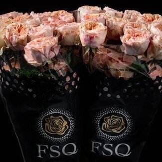 Freshy Large-flowered Rose “Tip Top” | Colour: Pink | Length ± 50 centimetre | Origin Ecuador | Per 20 fresh flowers