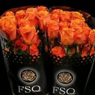 Freshy Grootbloemige Roos “Tycoon” | Kleur: Geel Oranje | Lengte ± 60 centimeter | Herkomst Ecuador | Per 20 verse bloemen