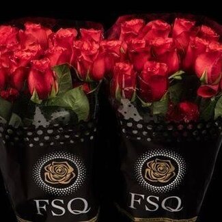 Freshy Grootbloemige Roos “Bromo” | Kleur: Rood | Lengte ± 60 centimeter | Herkomst Ecuador | Per 20 verse bloemen