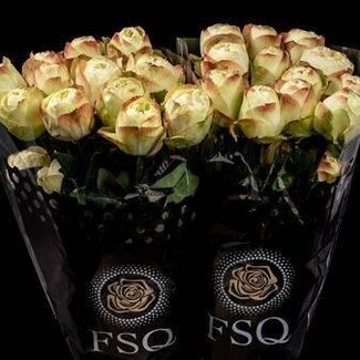 Freshy Large-flowered Rose “Khela Dark” | Colour: Yellow Red | Length ± 60 centimetre | Origin Ecuador | Per 20 fresh flowers
