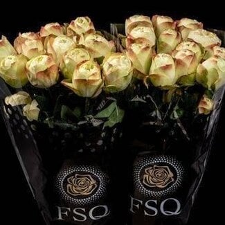 Freshy Rose à grandes fleurs “Khela Dark” | Couleur: Jaune Rouge | Longueur ± 60 centimeter | Origine Équateur | Par 20 fleurs fraîches