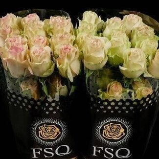 Freshy Large-flowered Rose “Marzipan” | Colour: Yellow Pink | Length ± 60 centimetre | Origin Ecuador | Per 20 fresh flowers