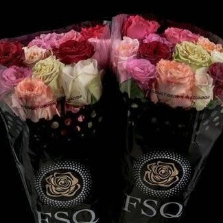Freshy Grootbloemige Roos “Rainbow Mix” | Kleur: Roze | Lengte ± 40 centimeter | Herkomst Ecuador | Per 20 verse bloemen